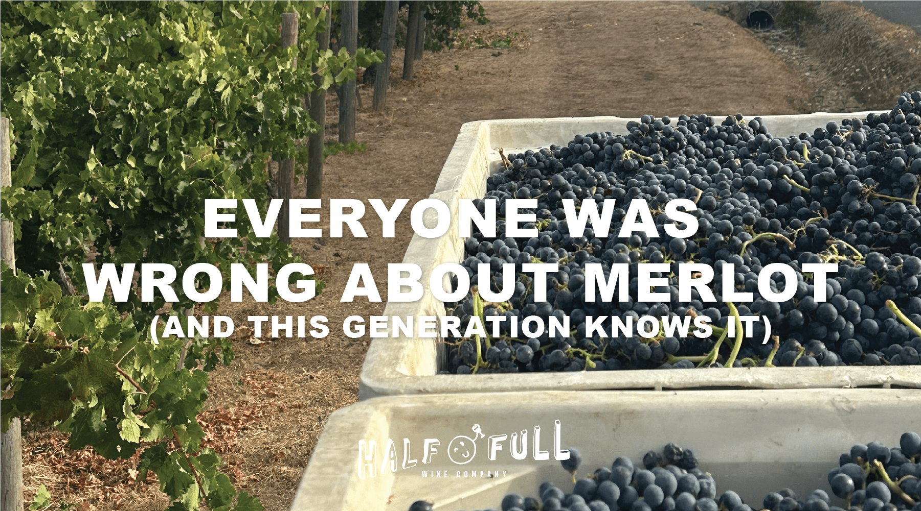 Everyone Was Wrong About Merlot—And This Generation Knows It - Half Full Wine Co.